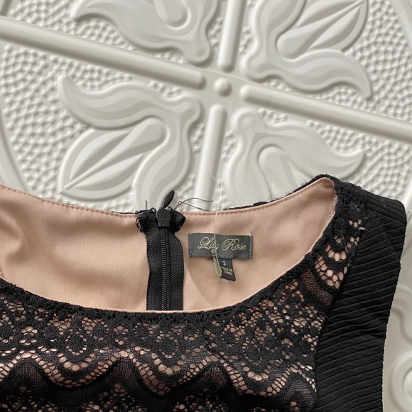 Lily Rose Lace & Chiffon Dress - Picture 4 of 5